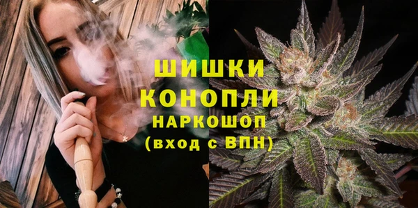 бошки Бородино