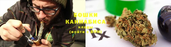бошки Бородино