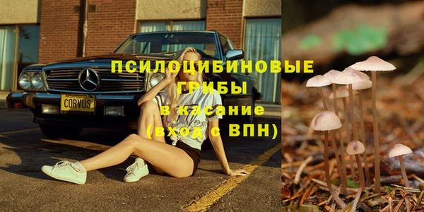 бошки Бородино